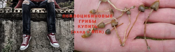 не бодяженный Алексин