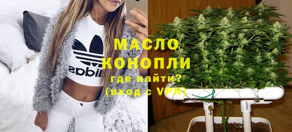 МДПВ Карпинск