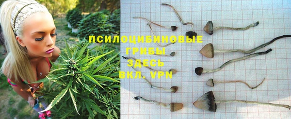 трава Алзамай