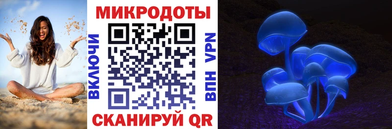 Галлюциногенные грибы Psilocybe  Ликино-Дулёво 
